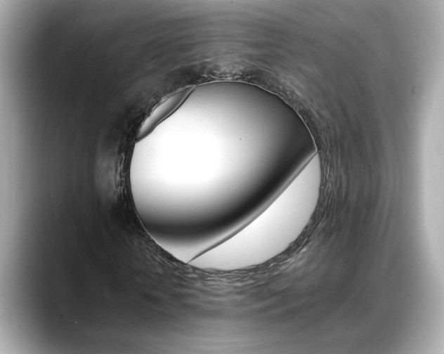 X0000088700818200705311014