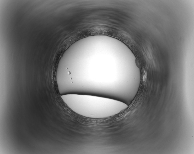 X0000088700819200705311014