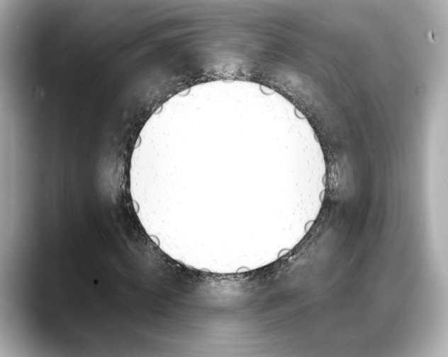 X0000088700820200705311014