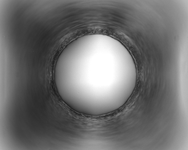 X0000088700821200705311014