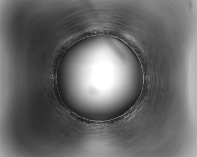 X0000088700822200705311014