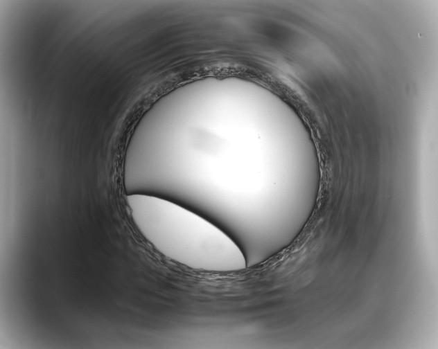 X0000088700823200705311014
