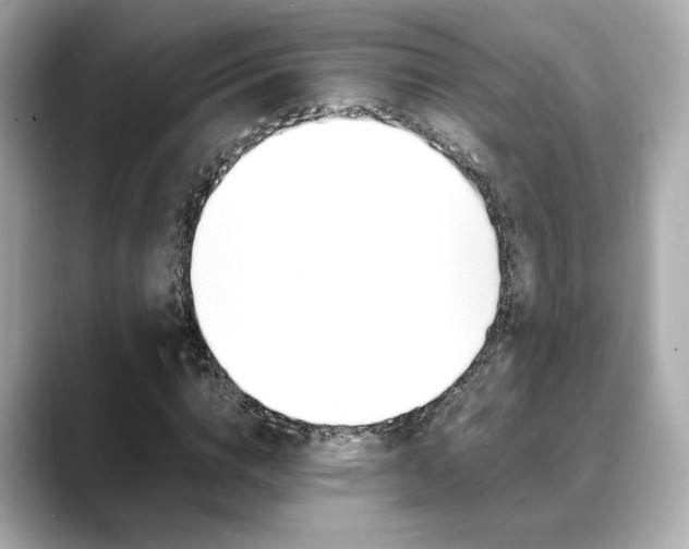 X0000088700824200705311014