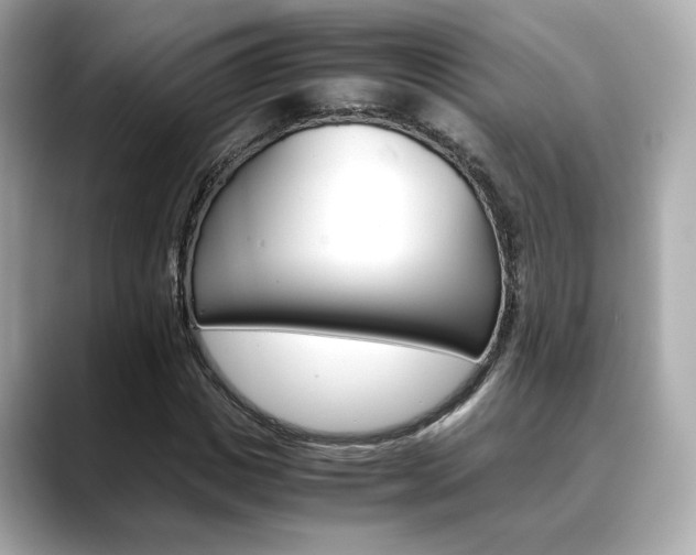 X0000088700825200705311014