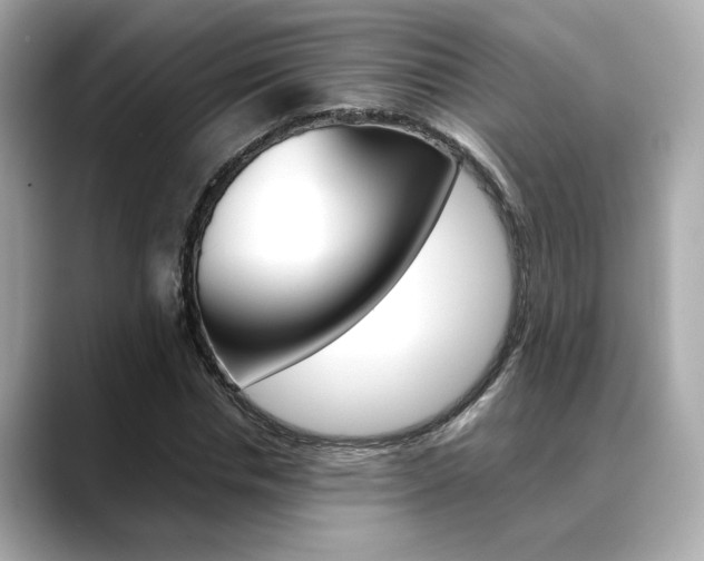 X0000088700826200705311014
