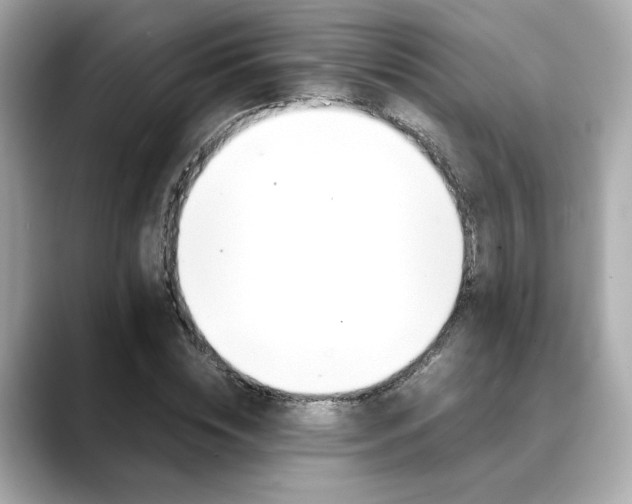 X0000088700828200705311014