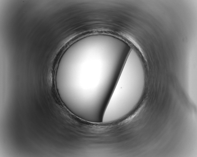 X0000088700829200705311014