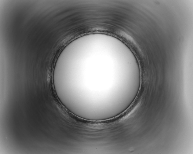 X0000088700833200705311014
