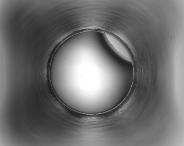 X0000088700834200705311014