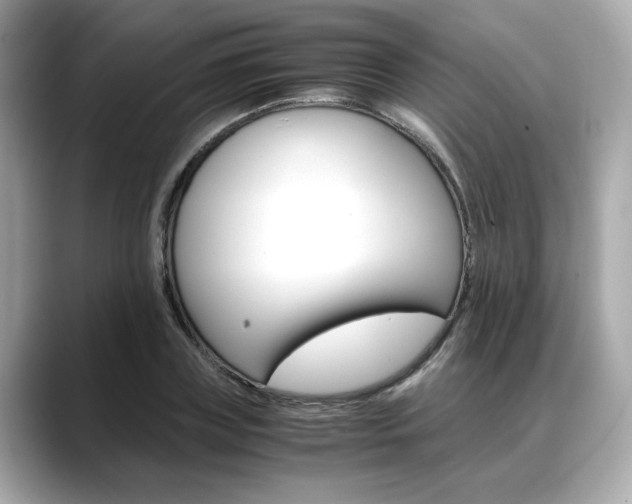 X0000088700835200705311014