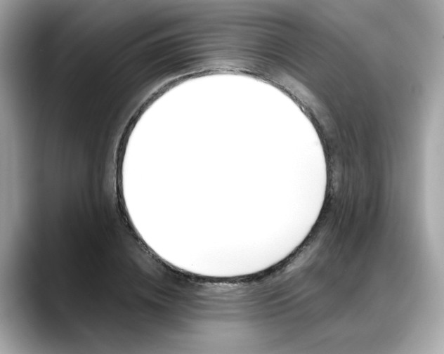 X0000088700836200705311014