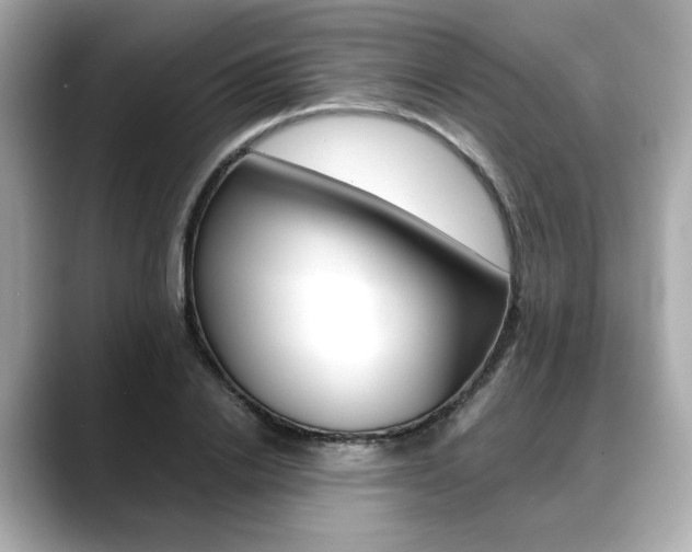X0000088700838200705311014