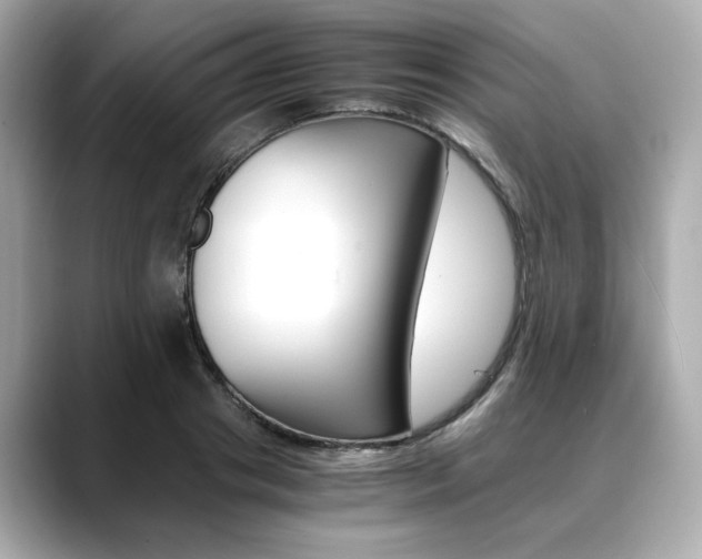 X0000088700841200705311014