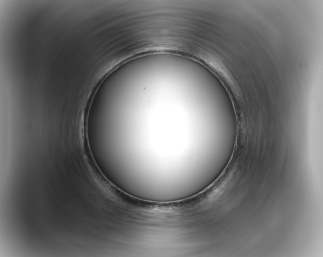 X0000088700842200705311014