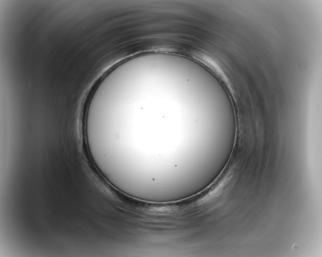 X0000088700843200705311014