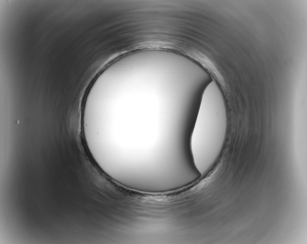 X0000088700844200705311014