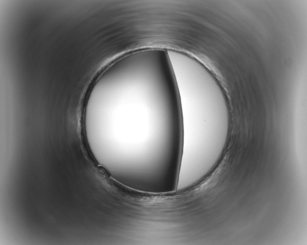 X0000088700846200705311014