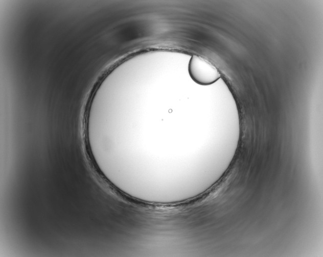 X0000088700848200705311014