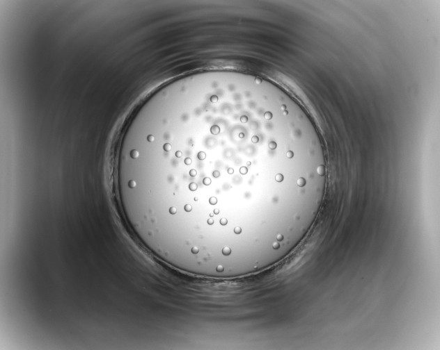 X0000088700851200705311014
