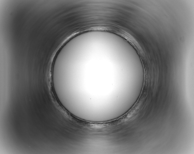 X0000088700852200705311015