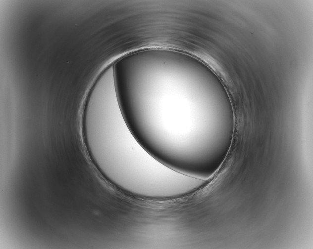 X0000088700854200705311015