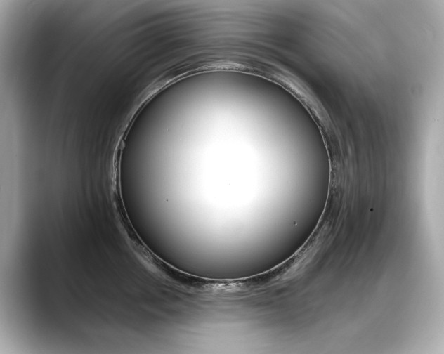 X0000088700858200705311015