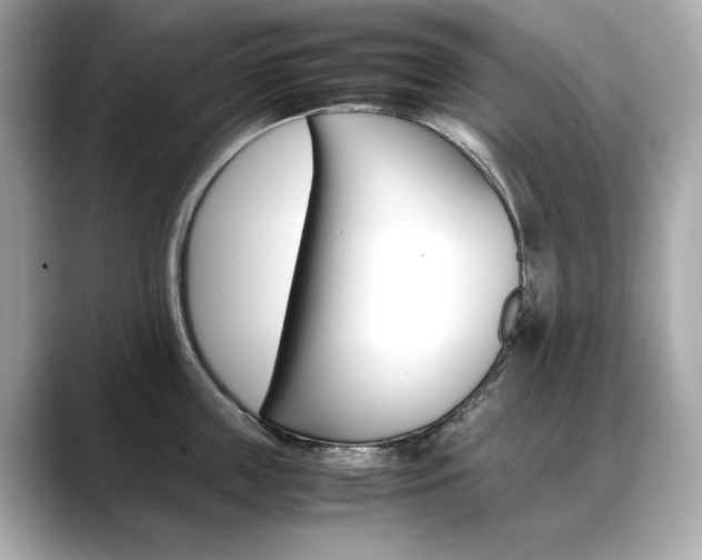 X0000088700859200705311015