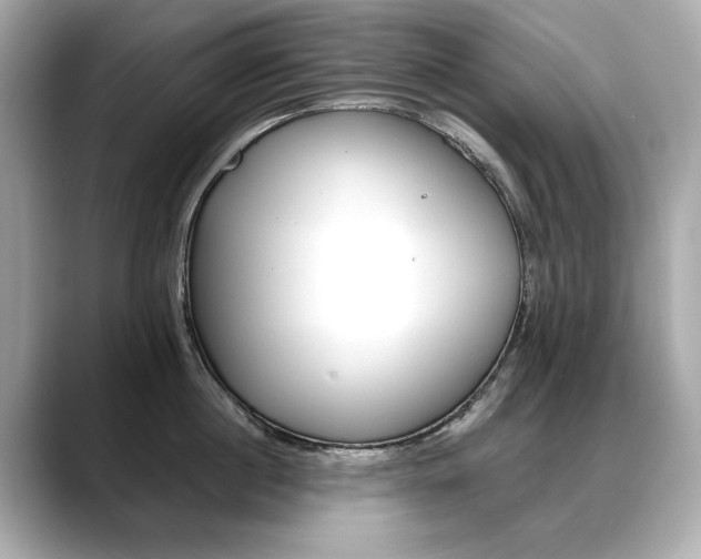 X0000088700860200705311015