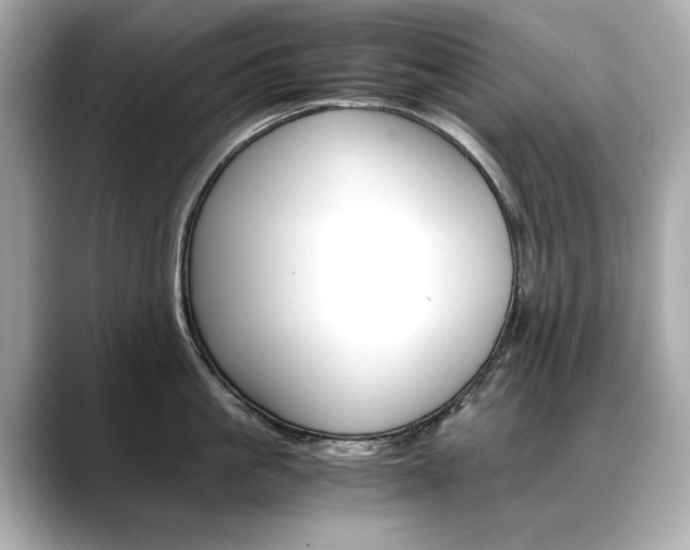 X0000088700861200705311015