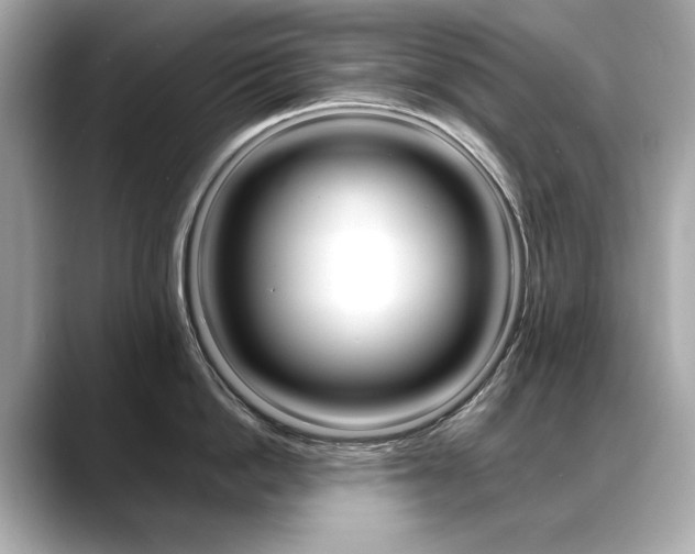 X0000088700862200705311015