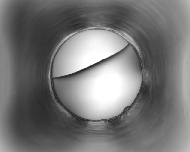 X0000088700863200705311015