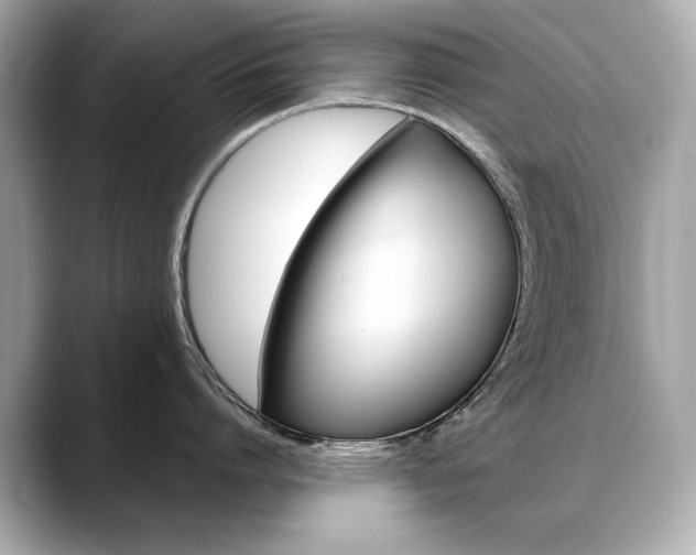 X0000088700864200705311015