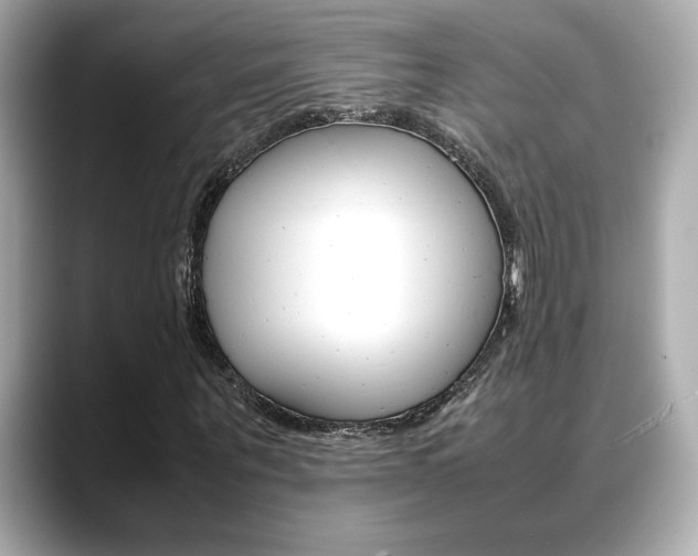 X0000088700867200705311014