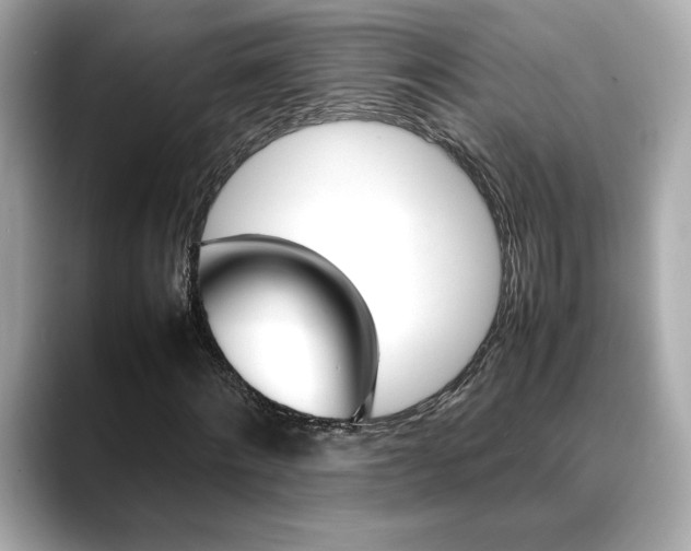X0000088700868200705311014
