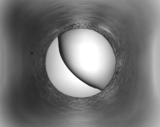 X0000088700869200705311014