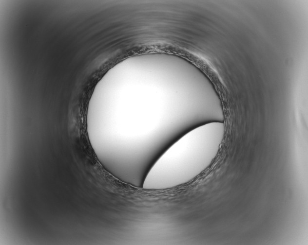 X0000088700871200705311014