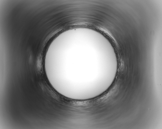 X0000088700874200705311014
