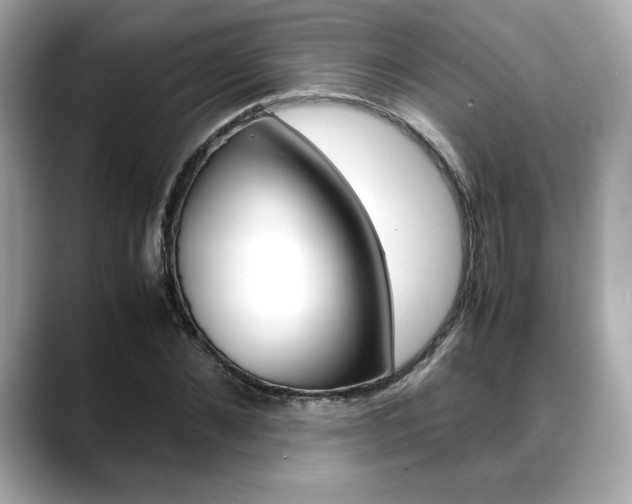X0000088700876200705311014