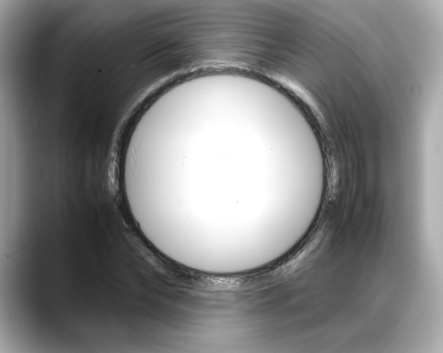 X0000088700878200705311014