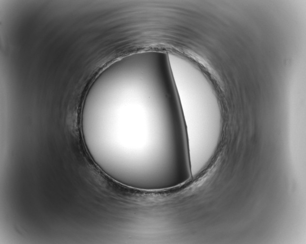 X0000088700881200705311014