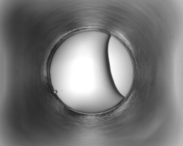 X0000088700883200705311014