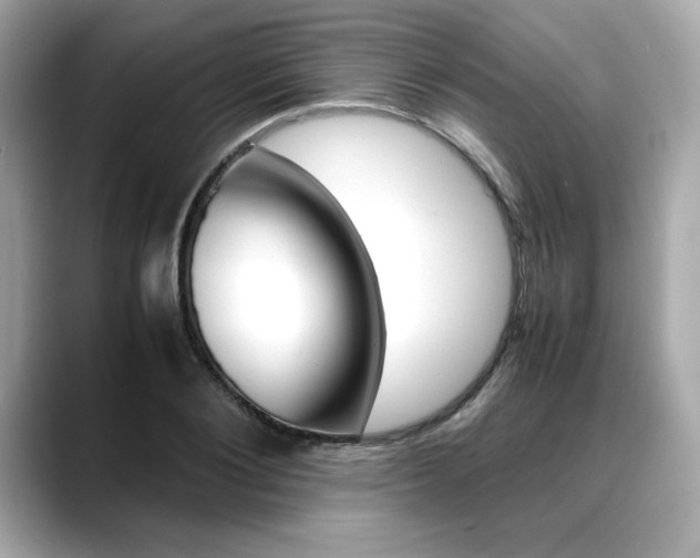 X0000088700884200705311014