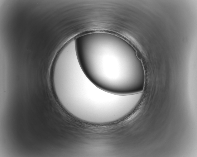 X0000088700885200705311014