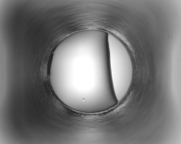 X0000088700889200705311014