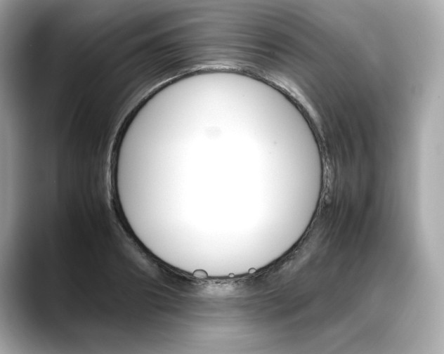 X0000088700890200705311014