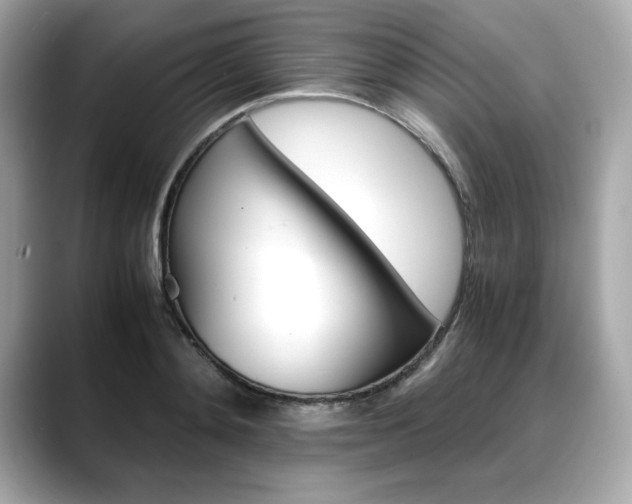 X0000088700892200705311014
