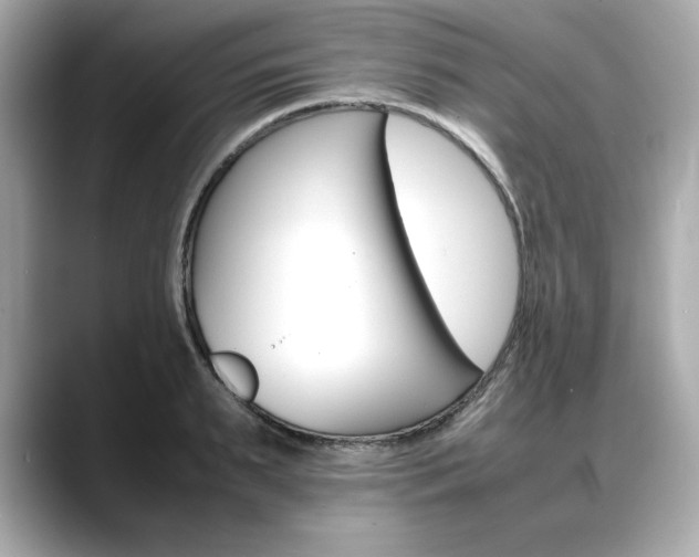 X0000088700895200705311014