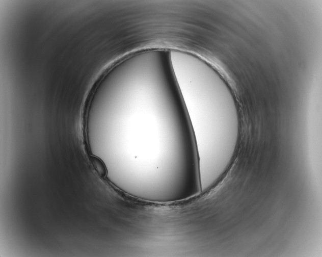 X0000088700896200705311014