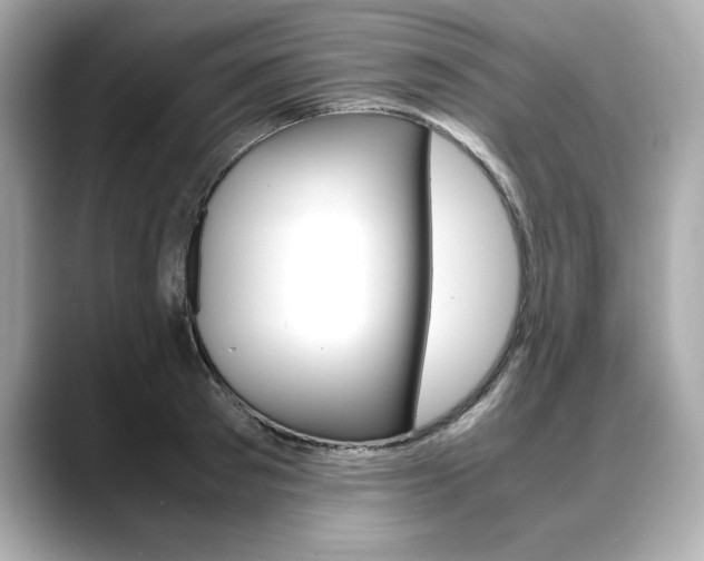 X0000088700897200705311014
