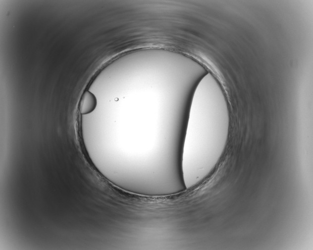 X0000088700899200705311014